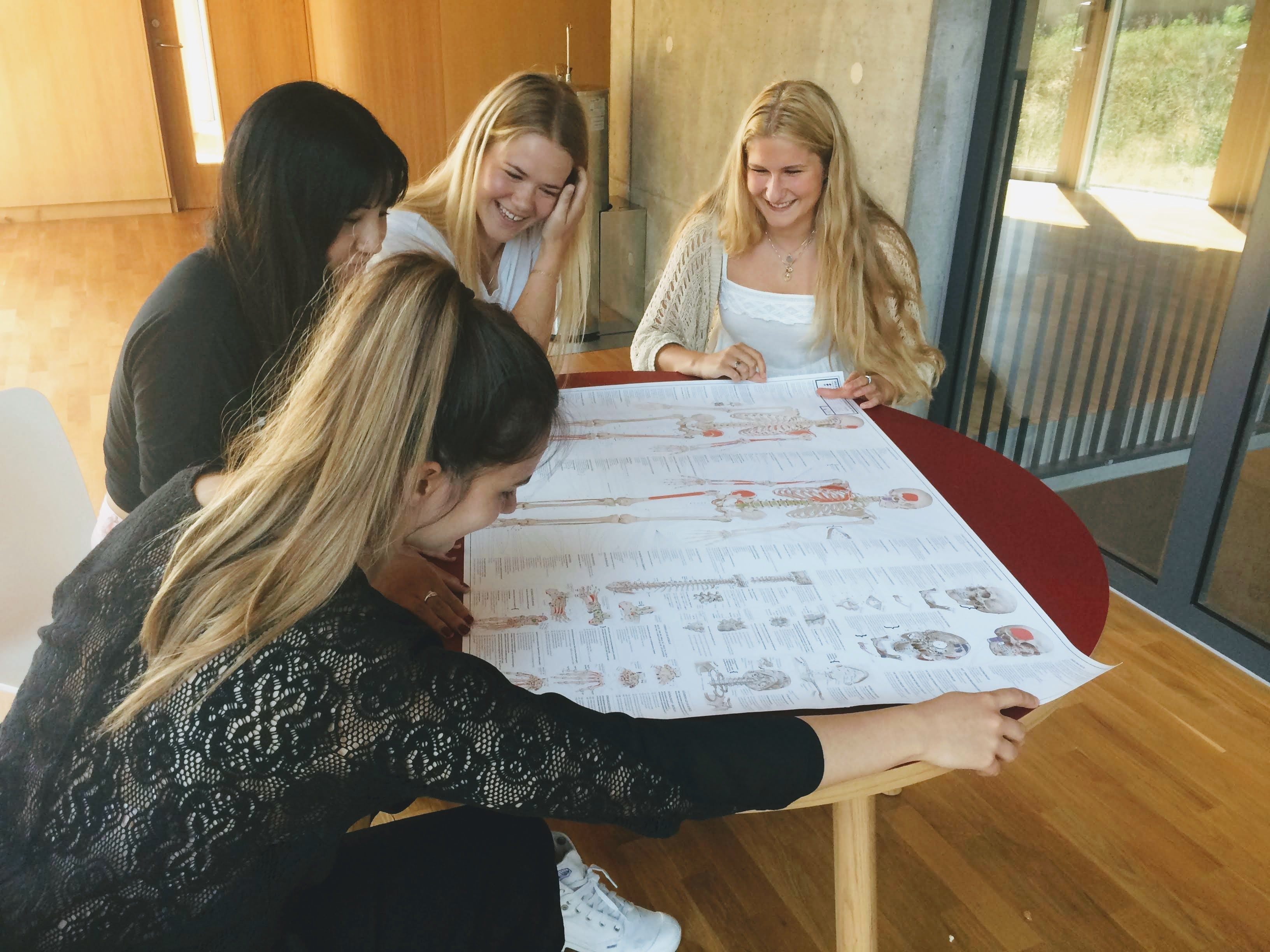 Fire danske Lægestuderende anmeldte plakaten EA1 - bevægeapparatets anatomi - eAnatomi