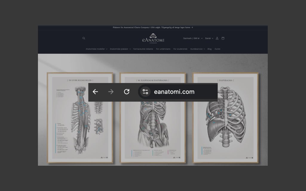 eAnatomi.dk er nu eAnatomi.com - eAnatomi