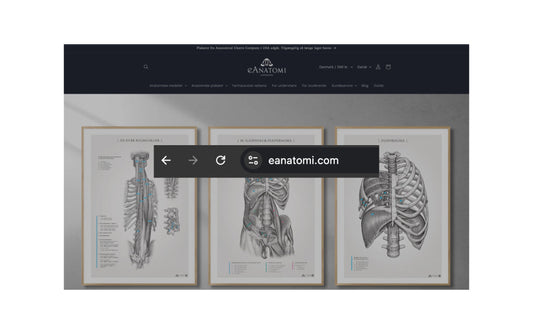 eAnatomi.dk er nu eAnatomi.com
