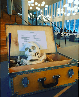 Er du medicinstuderende på vej til anatomieksamen? Vi hjælper dig i gang - eAnatomi