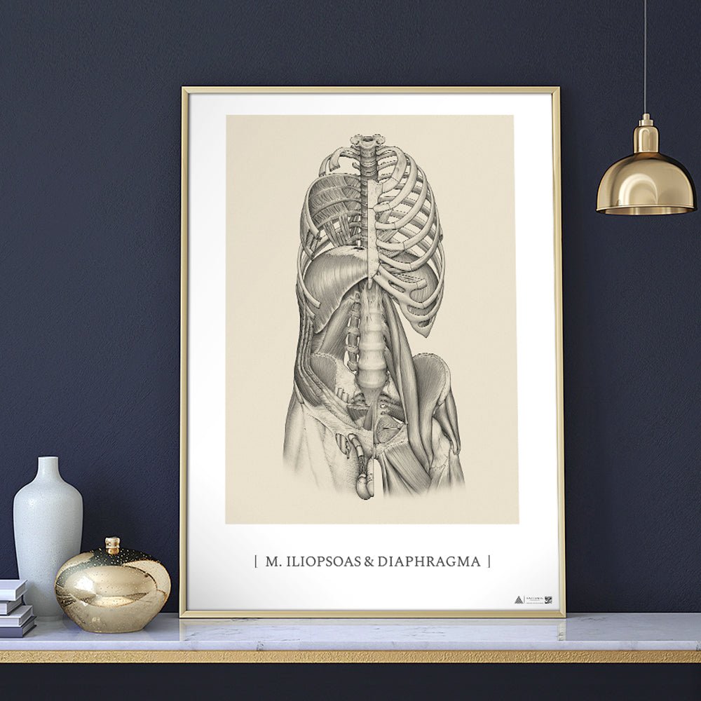 Kunstplakater - eAnatomi