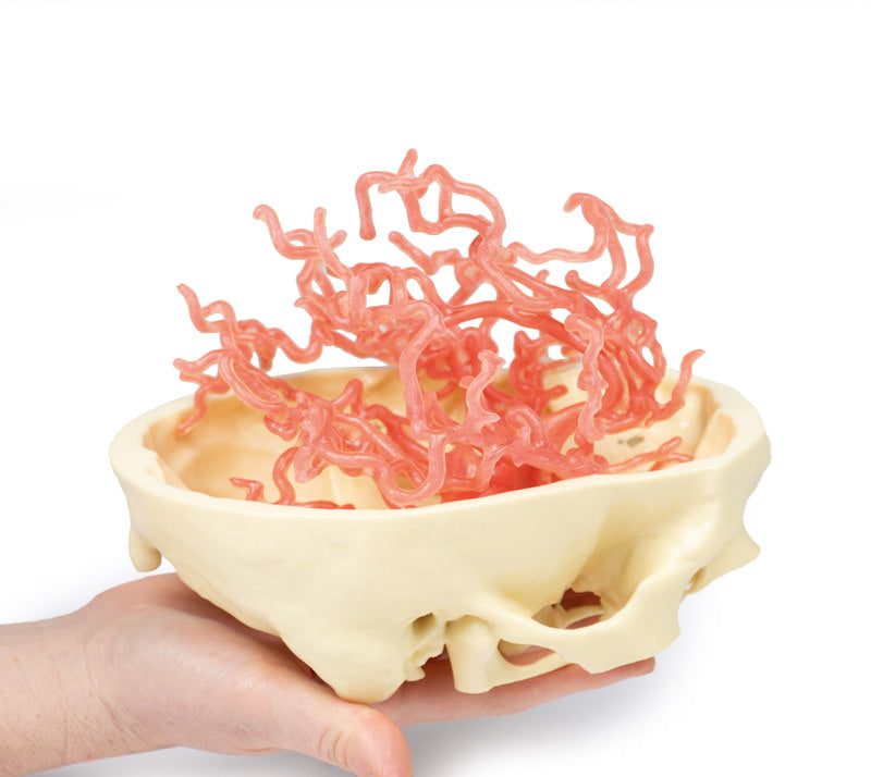 Arteriel cirkulation