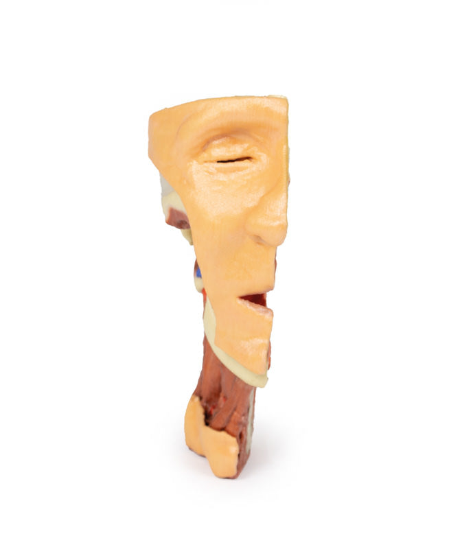 Dybt ansigt/Infratemporal fossa