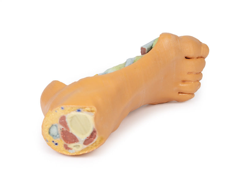Fod - Dybe plantarstrukturer
