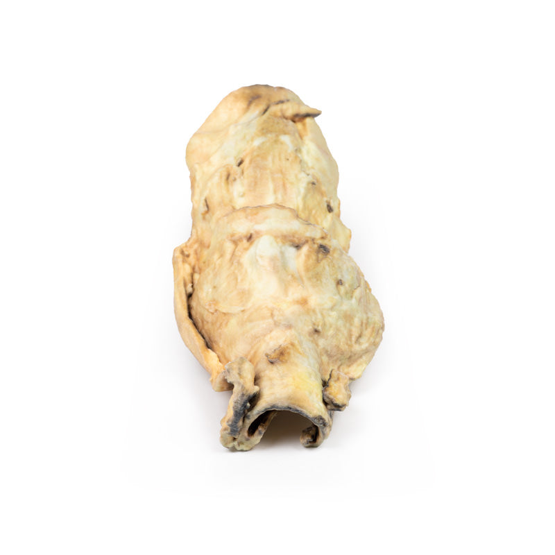 Carcinom i Larynx