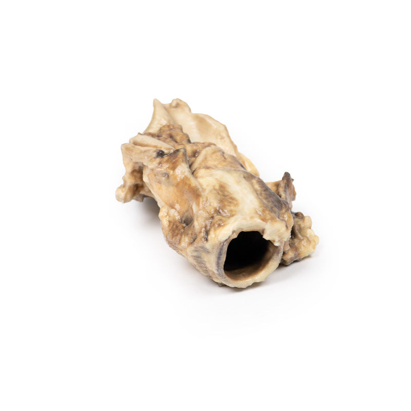 Karcinom af Pyriform Fossa