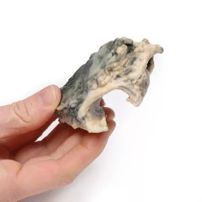 Carcinom i Larynx