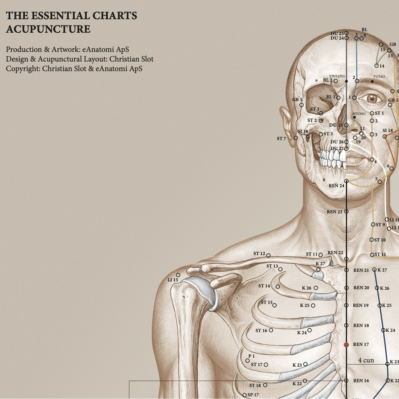 Akupunkturplakat af Christian Slot Studieversionen - eAnatomi