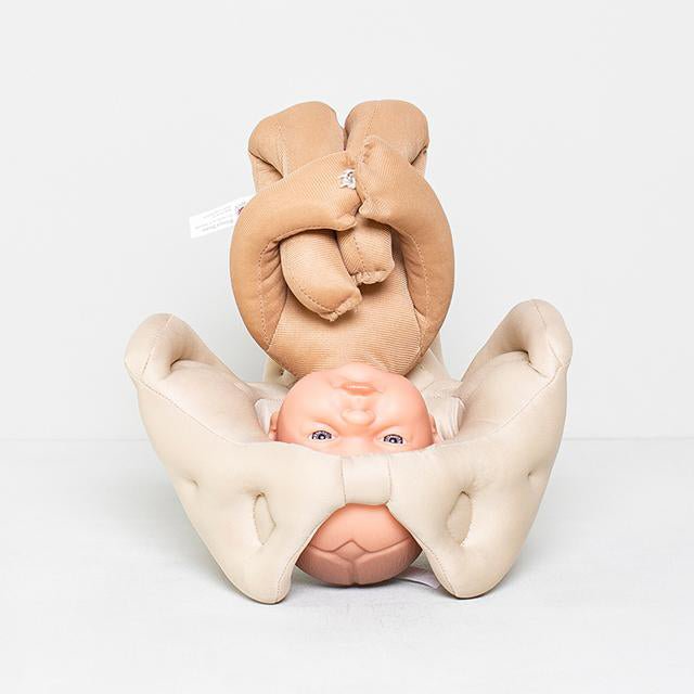 Bækken i stof og skumgummi - eAnatomi