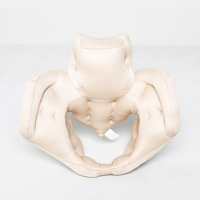 Bækken i stof og skumgummi - eAnatomi