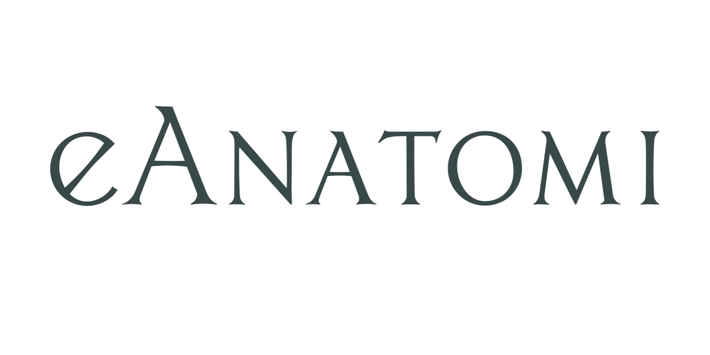 eAnatomi ApS logo