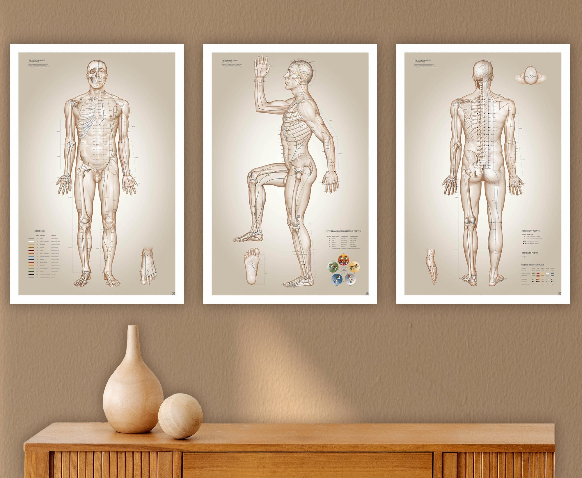 Akupunkturplakater af Christian Slot © eAnatomi - eAnatomi