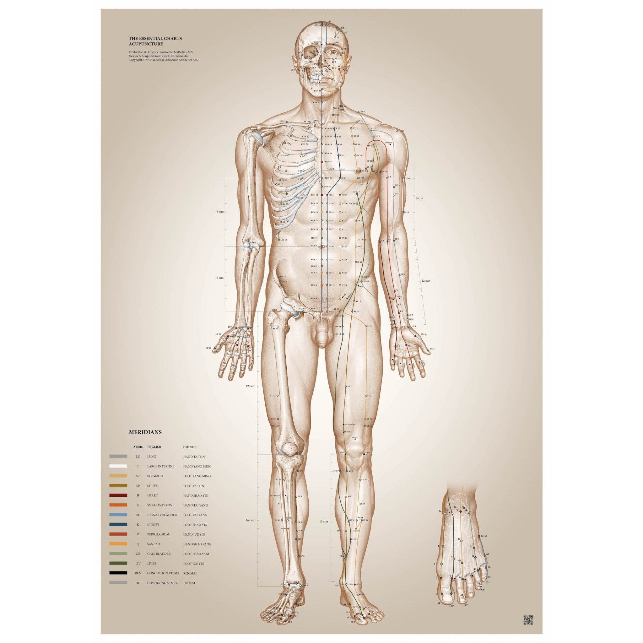 Akupunkturplakater af Christian Slot - eAnatomi