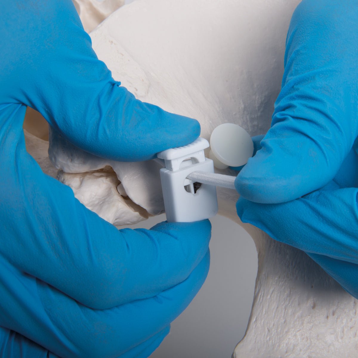 Fleksibelt bækken, kvinde - eAnatomi