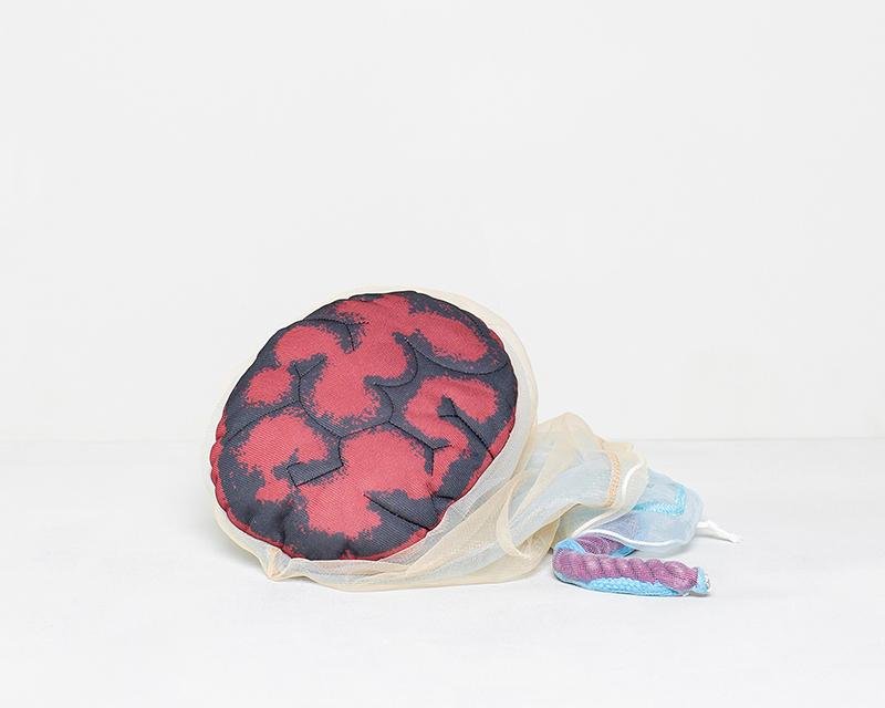 Fosterdukke m. moderkage og dens hinder og navlestreng - eAnatomi