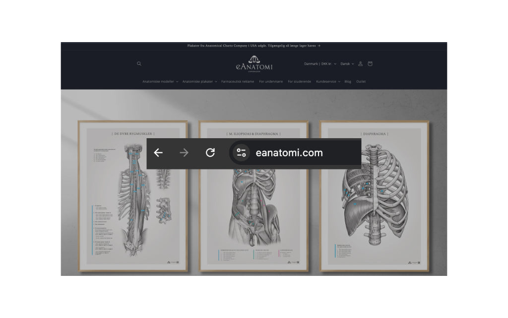 eAnatomi.dk er nu eAnatomi.com
