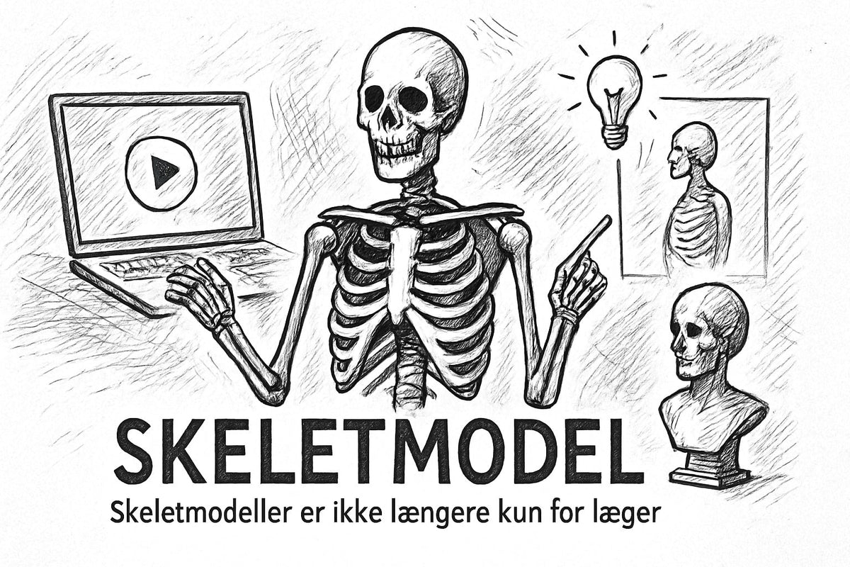 7 Smarte Måder At Bruge Et Skeletmodel I 2025