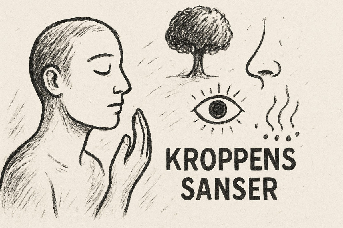 Guide Til Kroppens Sanser: Opdag Sanseverdenen 2026