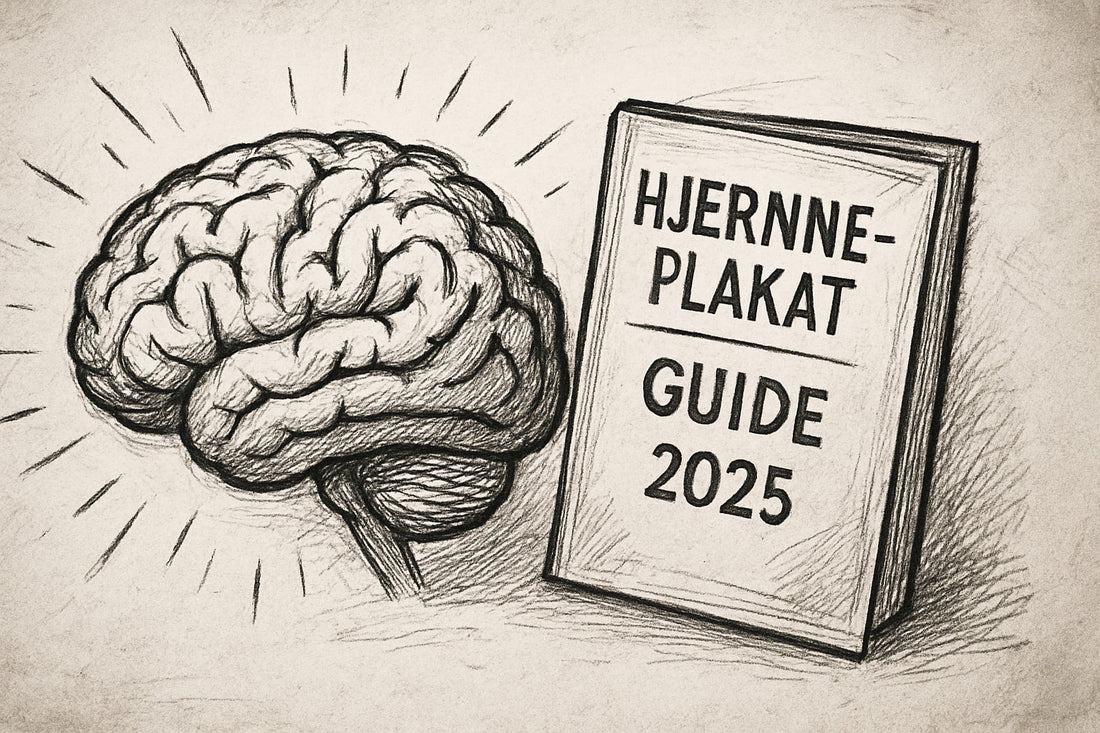 Hjerneplakat Guide 2025: Din Vej til Forståelse og Inspiration