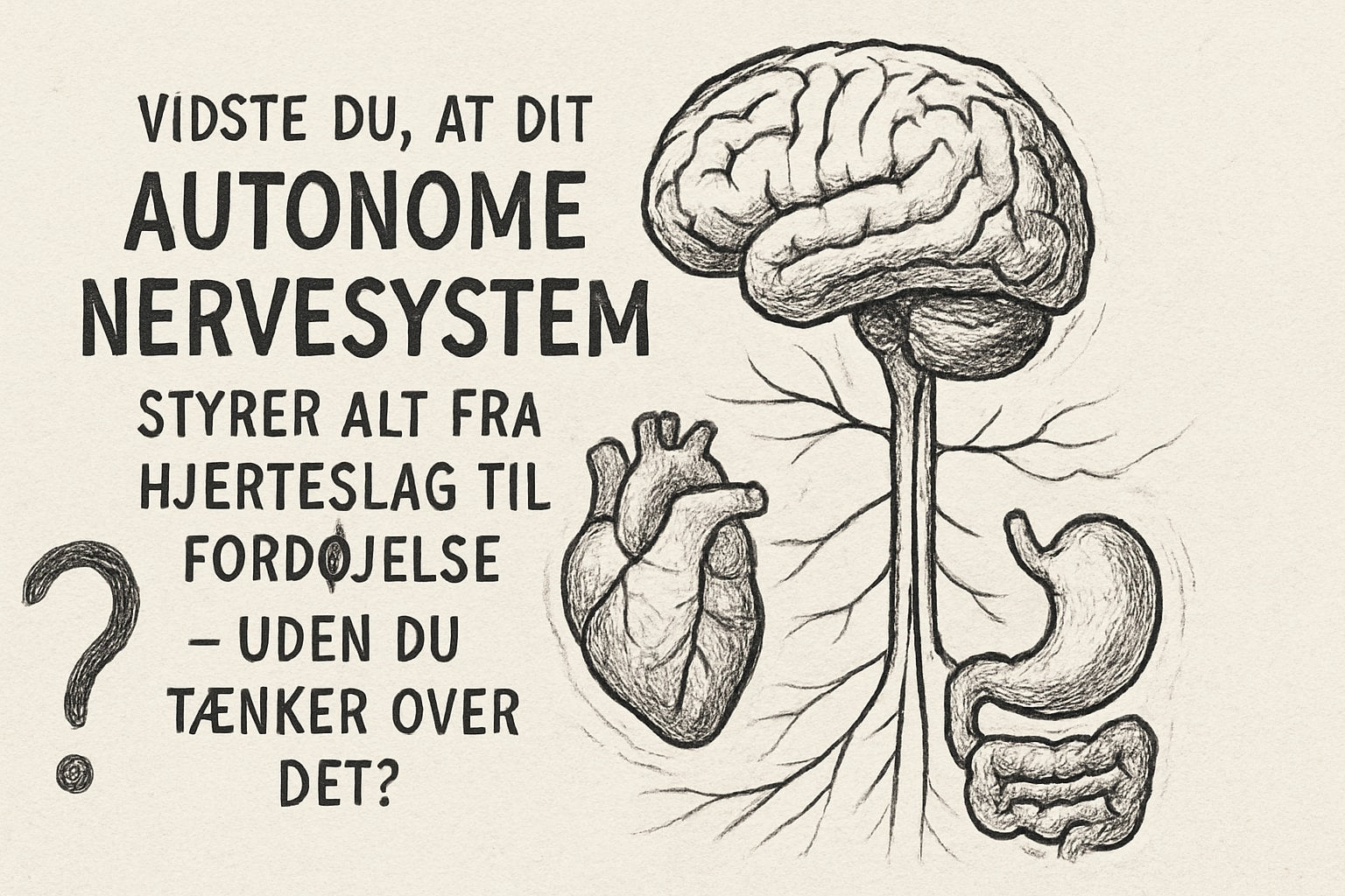 Plakat Om Det Autonome Nervesystem: Din Guide 2025