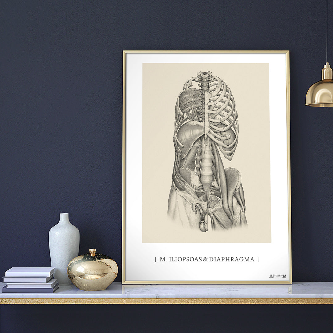 Kunstplakater - eAnatomi