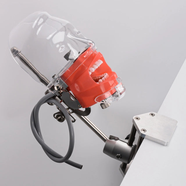 Mund og tandsæt til simulation og undervisning