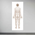 Poster of the female body seen from behind in large format