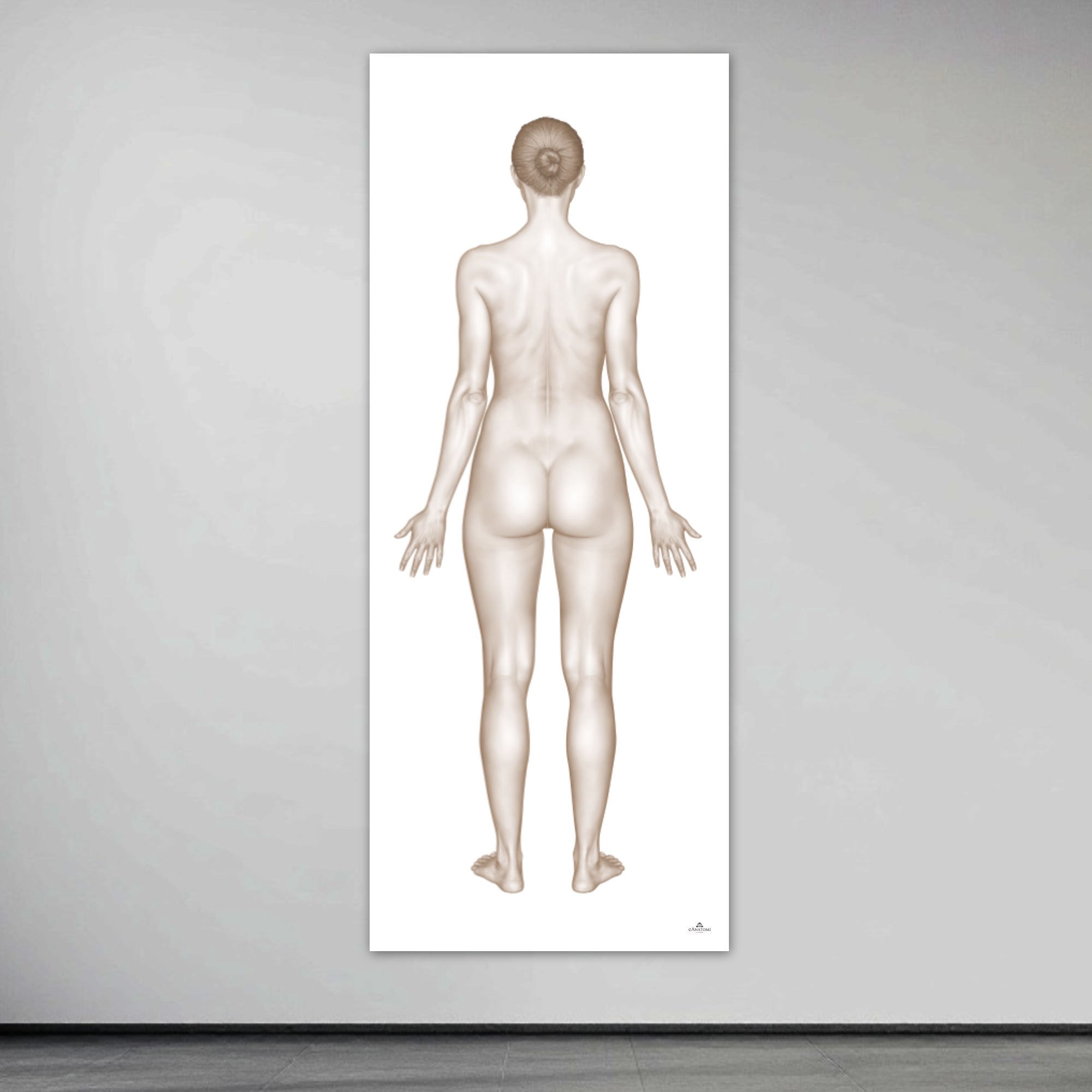 Poster of the female body seen from behind in large format
