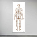 The man's body seen from behind in large format