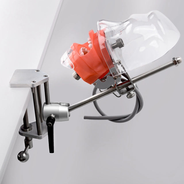 Mund og tandsæt til simulation og undervisning