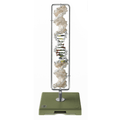 DNA - streng, B - form, 41,5 cm - eAnatomi