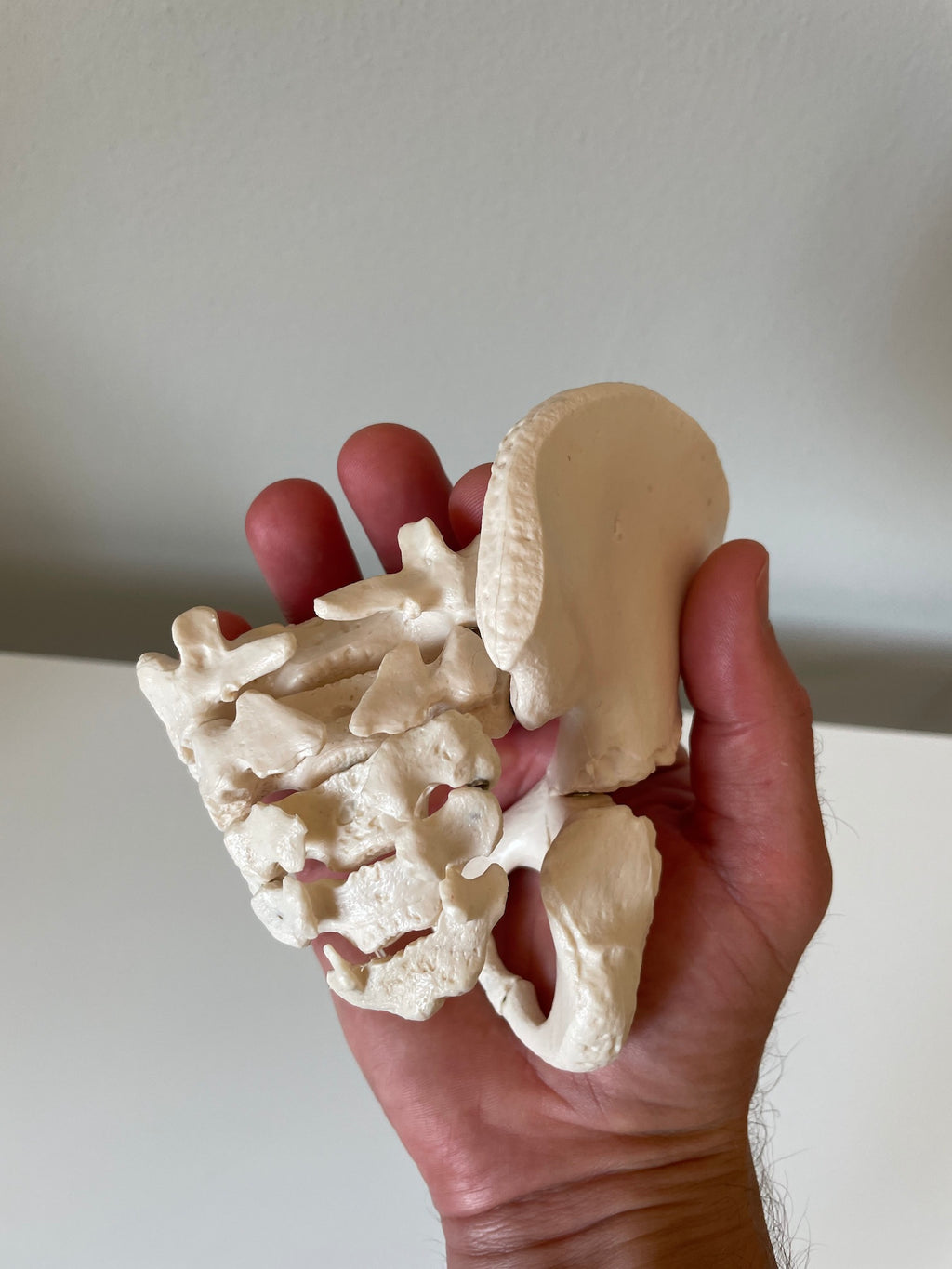 5-årig barnebækken