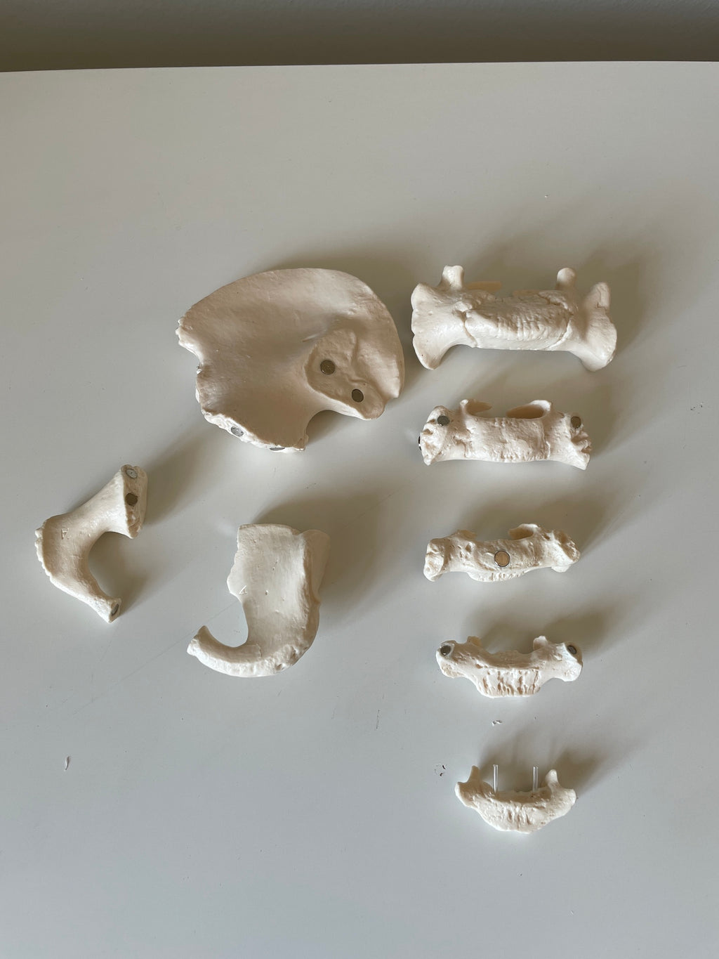 5-årig barnebækken