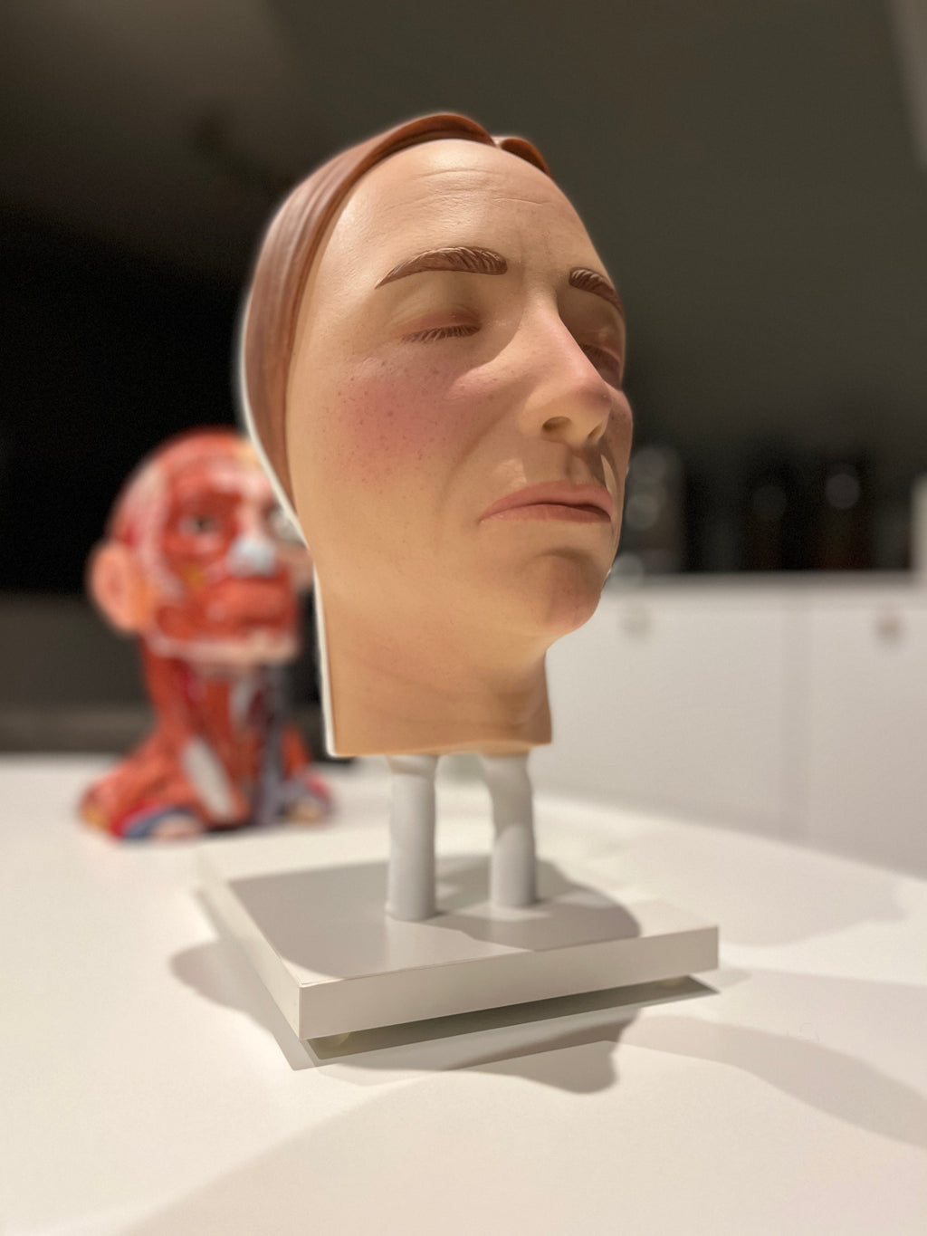 Model af ansigtet til injektionstræning - yngre kvinde