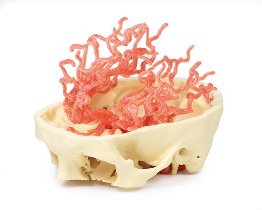 Arteriel cirkulation