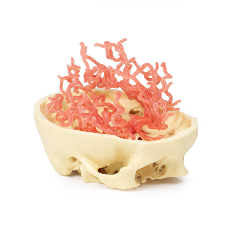 Arteriel cirkulation