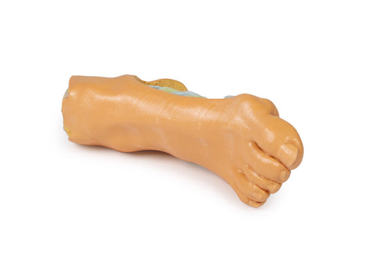 Fod - Dybe plantarstrukturer