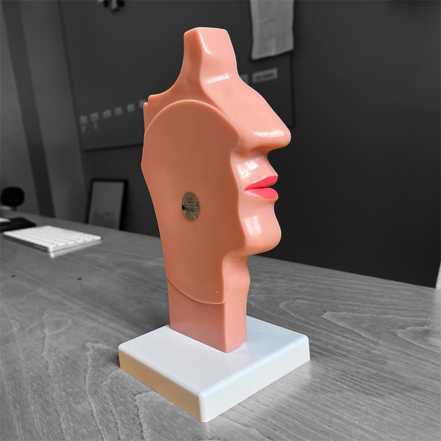 Model af svælget m. næse og hals, sagittalsnit