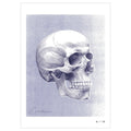 Anatomisk kunstplakat Pop Skull Blue - eAnatomi