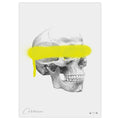 Anatomisk kunstplakat Neon Pop Skull - eAnatomi