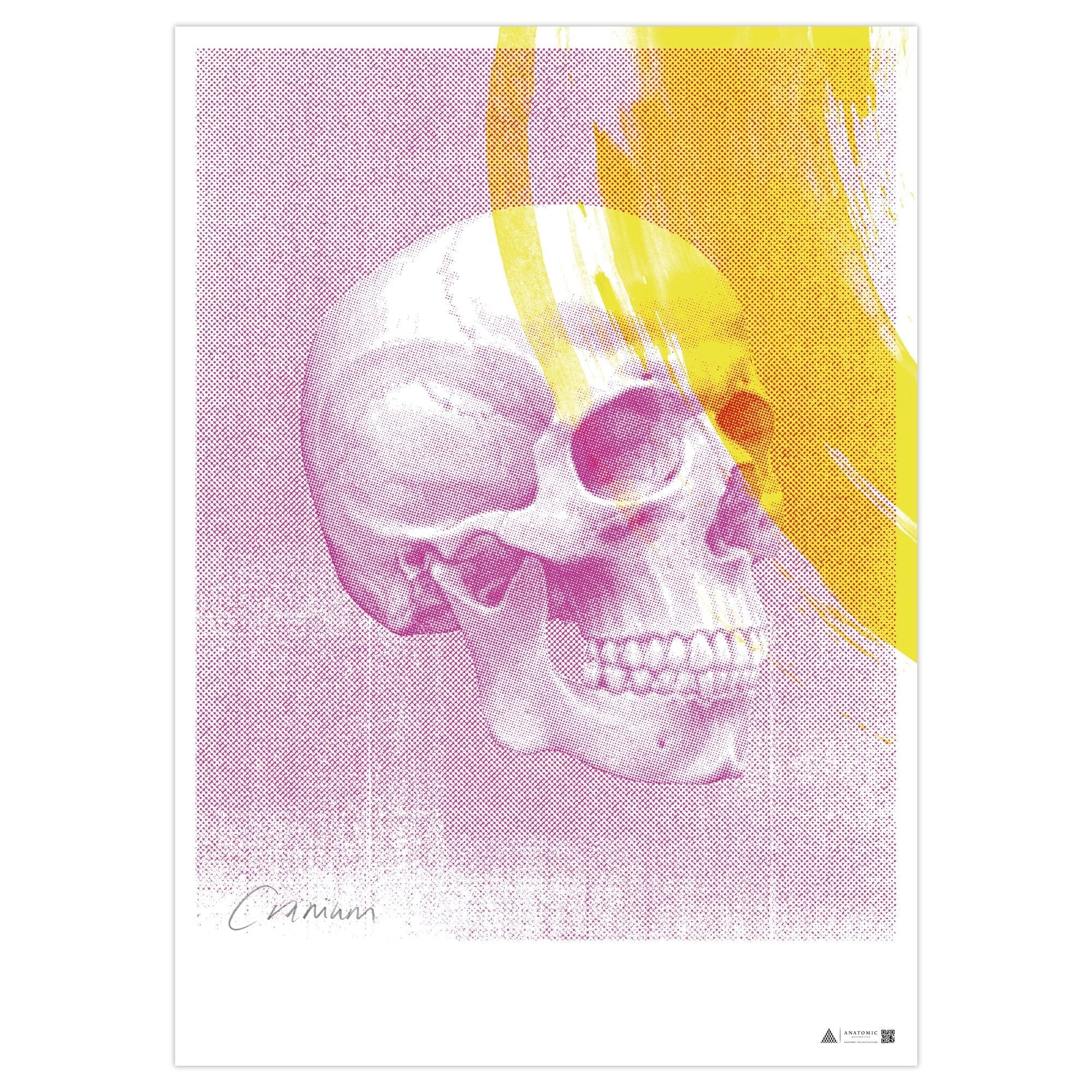 Anatomisk kunstplakat Pop Skull Pink - eAnatomi
