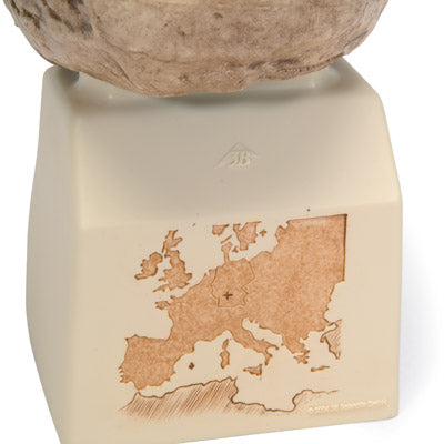 Antropologisk kranie, Homo heidelbergensis