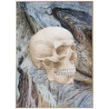 Anatomisk kunstplakat Skull on Blues - eAnatomi