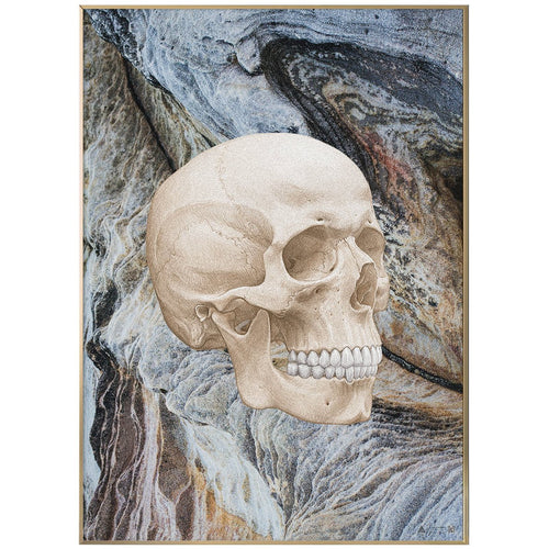 Anatomisk kunstplakat Skull on Blues - eAnatomi