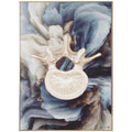 Anatomisk kunstplakat vertebrae on Blues - eAnatomi