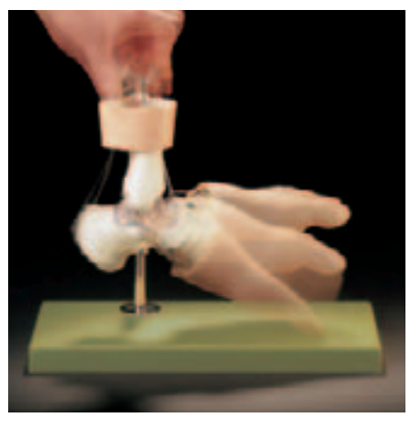 Fot med rörelsemönster