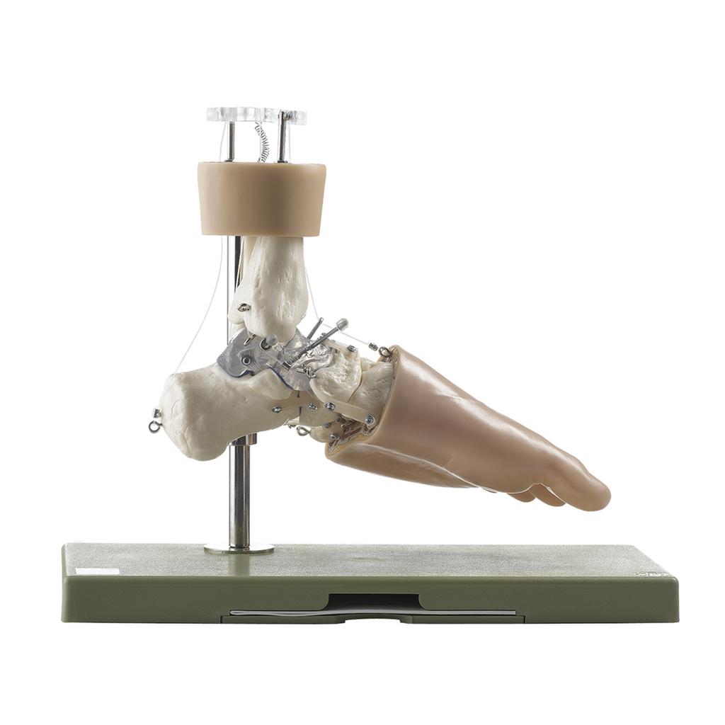 Fot med rörelsemönster