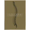 Anatomisk kunstplakat Columna Vertebralis full gold grain - eAnatomi