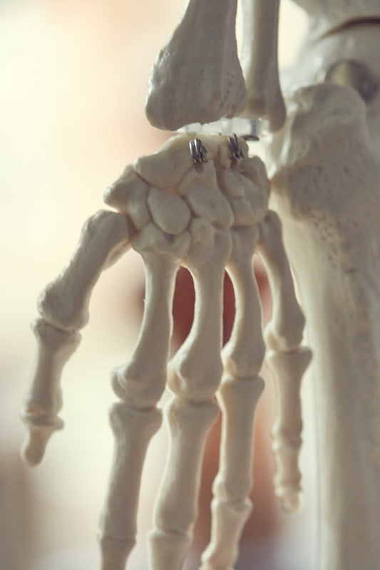 Mini skeleton with flexible joints and nerves on hanging stand