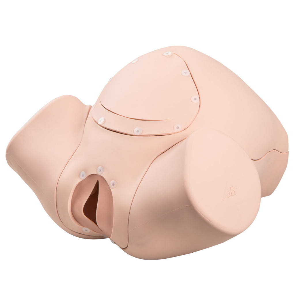 Basic birth simulator